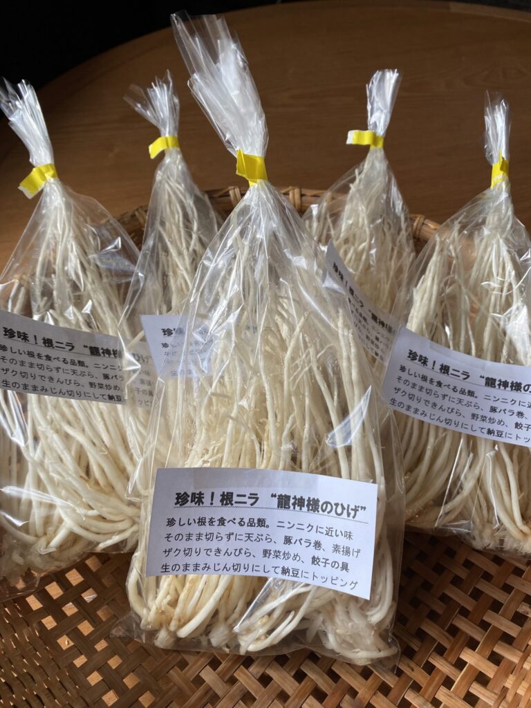龍神様のひげ（根ニラ）｜諏訪の国ブランド認定商品｜諏訪の国